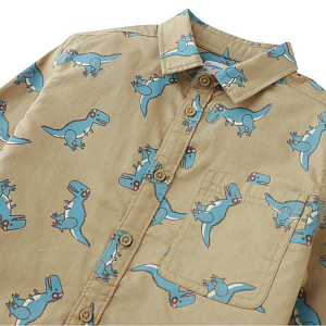 Рубашка с длинным рукавом Gingersnaps "Vlad Rex Rave", хаки